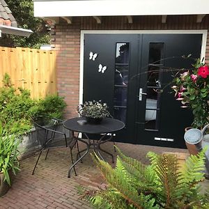 Studio/Appartment Evi