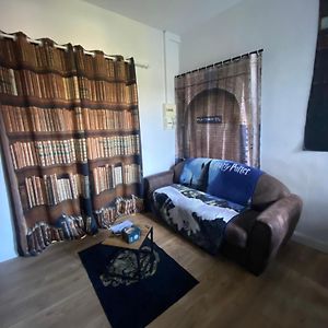 Appartement Hyper Centre Reims Le Gite Du Sorcier